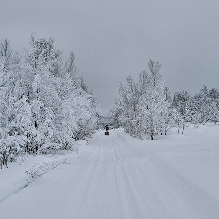 Ski de fond et ski nordique Norvège Laponie norvégienne
