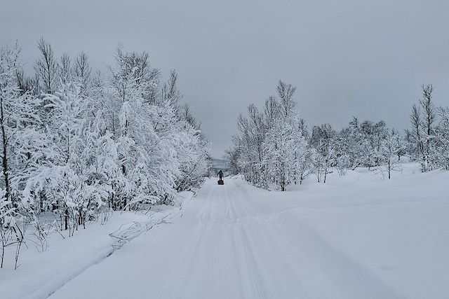 Voyage Traversée du Finnmarksvidda en ski nordique