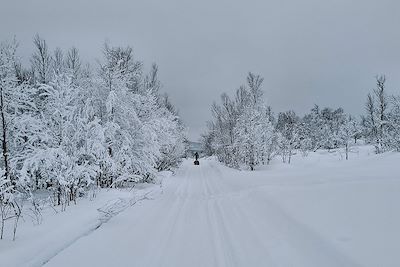Raid à ski - Finnmarksvidda (plateau du Finnmark) - Norvège