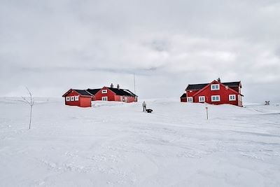 Traversée du plateau du Hardanger en ski pulka - Norvège