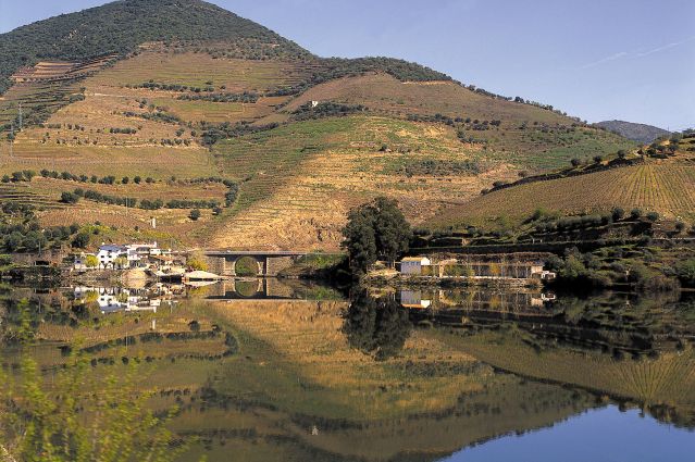 Voyage Portugal : l’Or du Douro 3