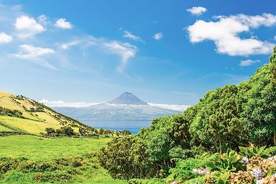 © yd Photography / Adobe Stock - Sao Jorge - Açores - Portugal Sao Jorge - Açores - Portugal