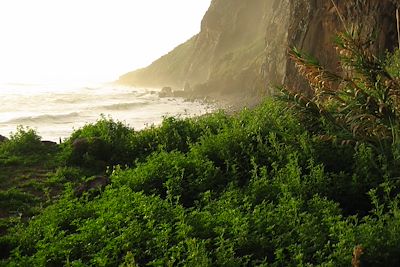Voyage Madère (Portugal)
