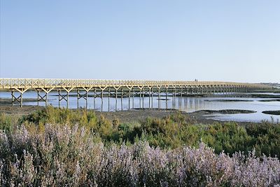 Voyage Algarve