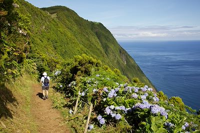 © Rui Vieira / Turismo de Acores - Chemin de randonnée - Faja de Sao Joao - Sao Jorge - Acores - Portugal Chemin de randonnée - Faja de Sao Joao - Sao Jorge - Acores - Portugal