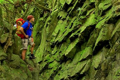 © Publicor / Turismo de Acores - Sentier de randonnée - Sao Jorge - Acores - Portugal Sentier de randonnée - Sao Jorge - Acores - Portugal