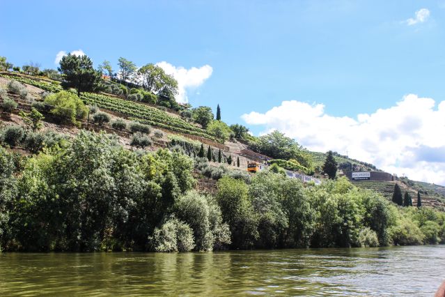 Voyage Portugal : l’Or du Douro 2