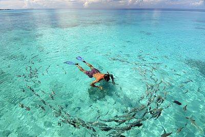 Snorkeling dans l'atoll de Fakarava - Archipel des Tuamotu - Polynésie française