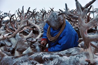 Eleveurs de rennes Nenets - Yamal - Sibérie - Russie