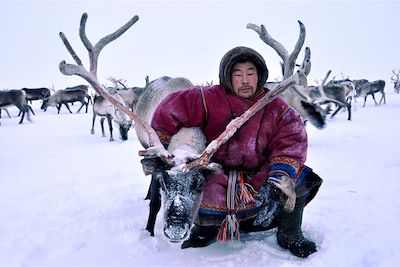 Eleveurs de rennes Nenets - Yamal - Sibérie - Russie