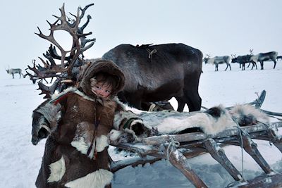 Eleveurs de rennes Nenets - Yamal - Sibérie - Russie