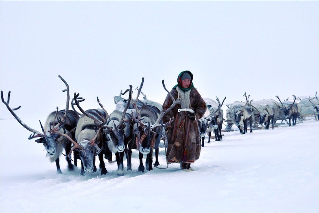 Voyage Transhumance avec les Nenets 2