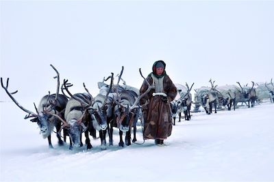 Transhumance - Eleveurs de rennes Nenets - Yamal - Sibérie - Russie