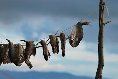 Retour de la pêche près du Lac Baikal - Russie