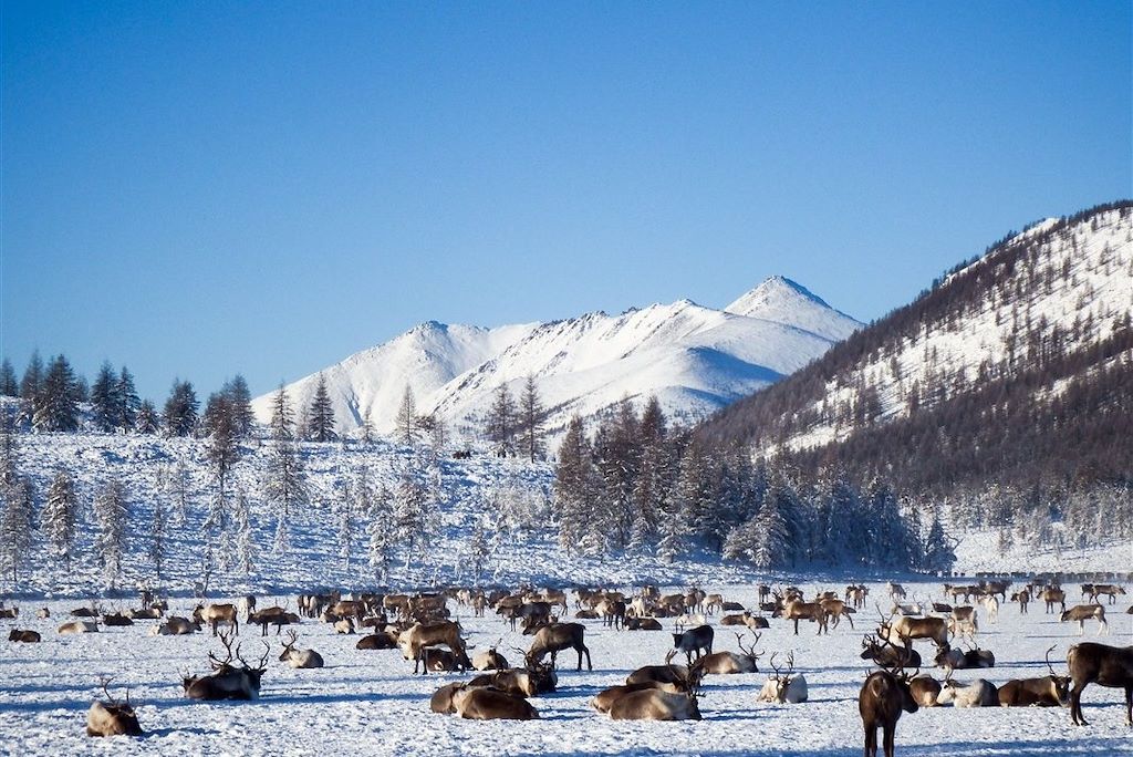 Voyage Chez les éleveurs de rennes de Yakoutie 2