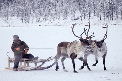 Découverte de la Yakoutie avec les éleveurs de rennes - Russie