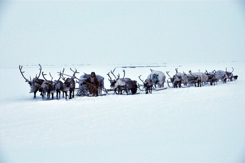 Voyage A la rencontre du peuple des Nenets 2
