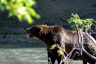 Kamtchatka - Russie