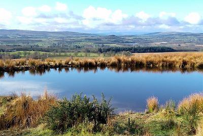 © Marion Rimbaud - West Highland Way - Ecosse - Royaume-Uni West Highland Way - Ecosse - Royaume-Uni
