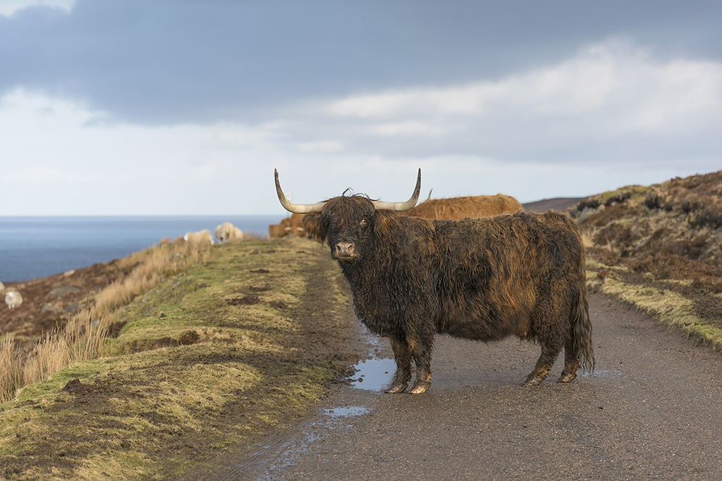 Image Canal calédonien - Loch Ness - Archipel des Hébrides - Skye - Oban - Stornoway - Tobermory