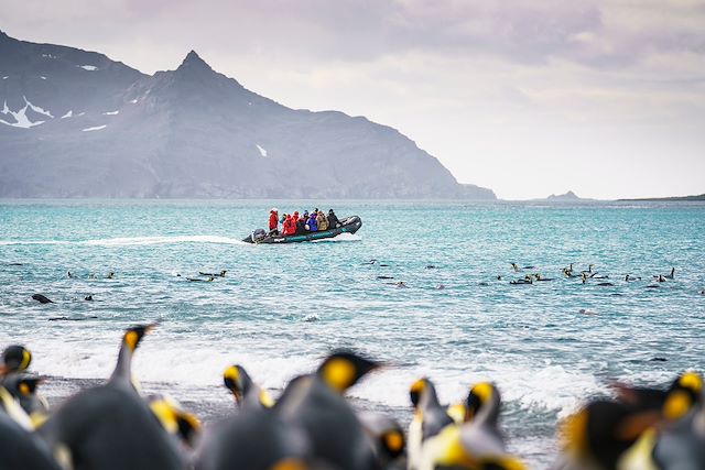Shetland : Grande expédition vers le désert blanc Voyage Grande expédition vers le désert blanc