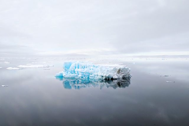 Voyage Immersion arctique à bord du Polaris
