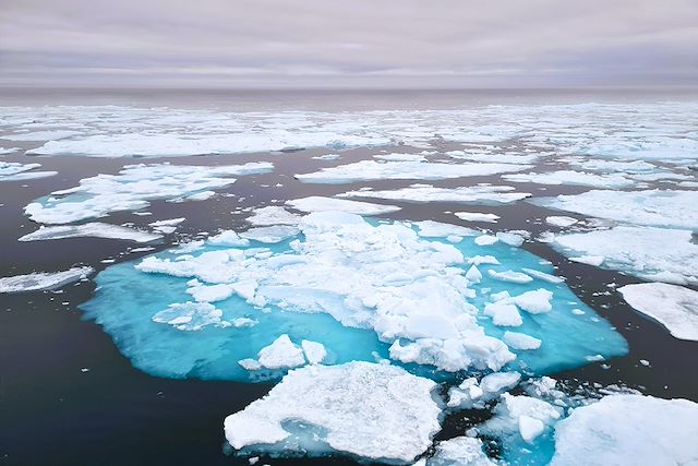 Voyage Immersion arctique à bord du Polaris