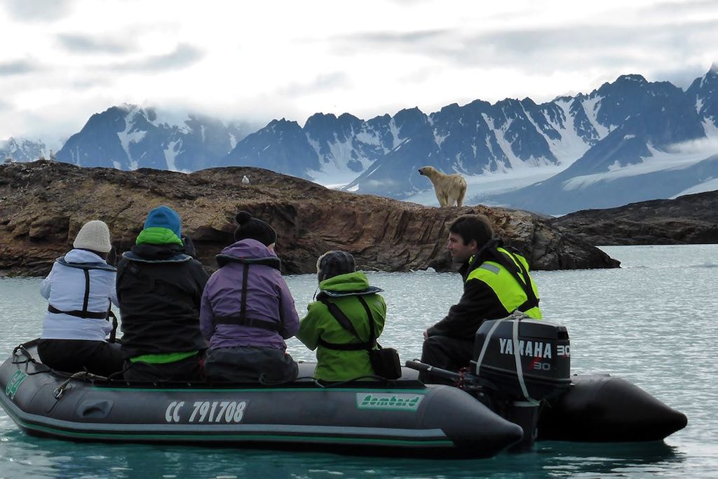 Image Croisière Spitzberg - Animaux polaires