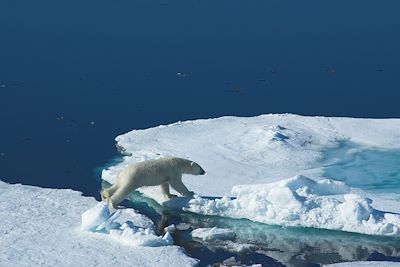 Voyage Découverte de l'archipel du Svalbard 2