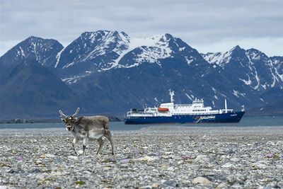 Le Plancius dans la Baie de Gashamna - Spitzberg