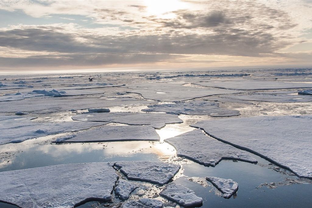 Voyage Le tour complet du Svalbard 2
