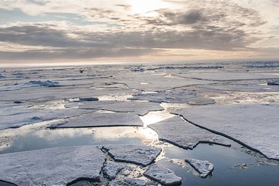 Voyage Cap vers la banquise 1