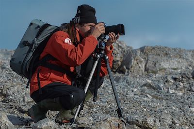 Observation de la faune - Spitzberg