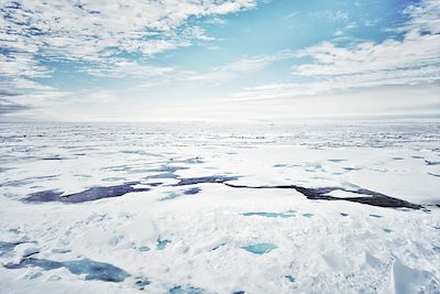 Voyage Rencontre avec la faune le long de la banquise 1