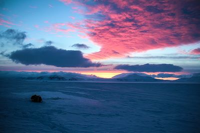 © Gaelle Grande - Spitzberg - Norvège Spitzberg - Norvège