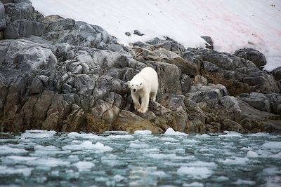 Voyage Svalbard : Histoire et découverte de Kvitøya 1