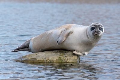 Voyage Svalbard : Histoire et découverte de Kvitøya 3