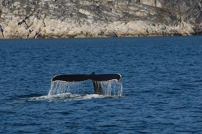© Malik Milfeldt/Visit Greenland - Groenland Groenland