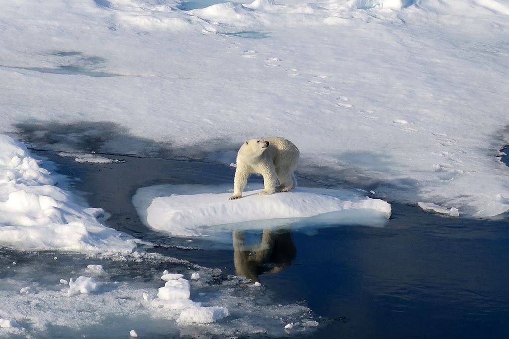 Voyage Cap sur les glaces du Spitzberg 3