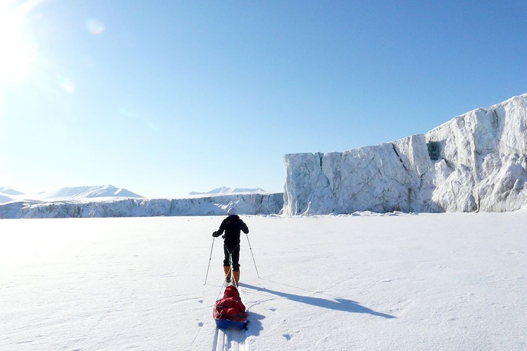 Voyage Sur les traces de l'ours 2