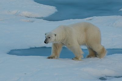 Voyage Découverte hivernale du Spitzberg 2