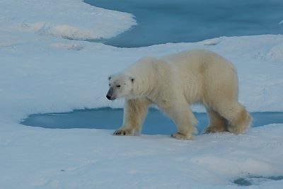 Voyage Réveillons à Longyearbyen 3