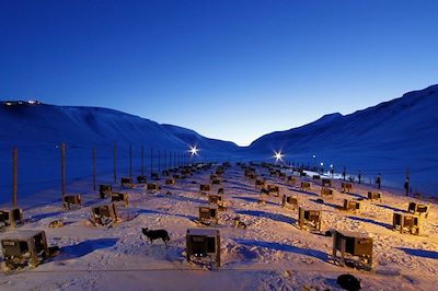 Ferme de chiens - Spitzberg - Norvège