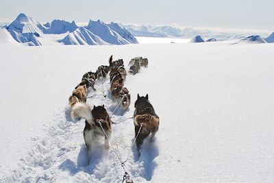 Traîneau à chiens - Spitzberg - Norvège