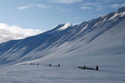 Traîneau à chiens - Spitzberg - Norvège