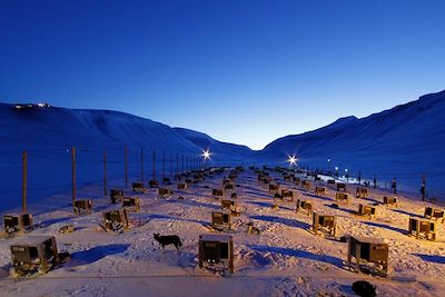 Ferme de chiens - Spitzberg - Norvège