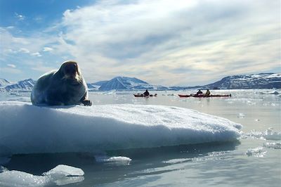 © Spitsbergen Travel - Phoque et kayak - Spitzberg - Norvège Phoque et kayak - Spitzberg - Norvège