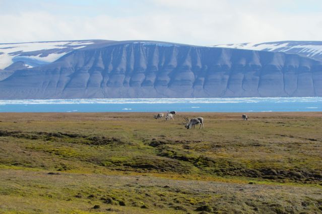 Voyage Clean Up Svalbard - Opération plages propres