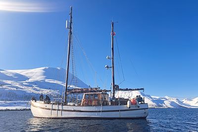 Voyage Le Spitzberg à la voile 2