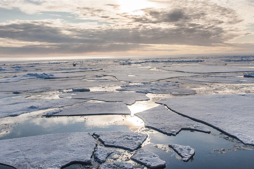 Image Croisière vieux gréement - Spitzberg - Eté arctique - Côte Ouest